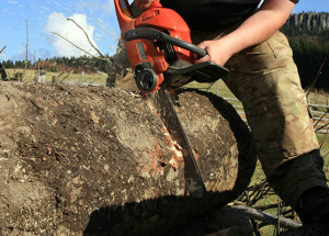 How To Avoid Tree Cutting Accidents