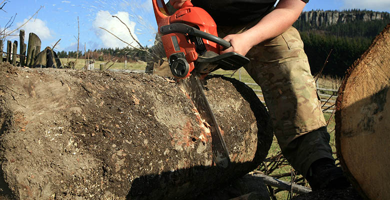 How To Avoid Tree Cutting Accidents