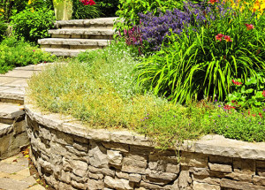 Benefits of a Professional Landscaping Service